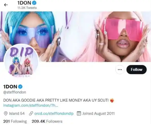 ‘She Is The Judas In Burna’s Life’ –Reactions As Stefflon Don Changes Her Handle To Shatta Wale’s ‘1Don’