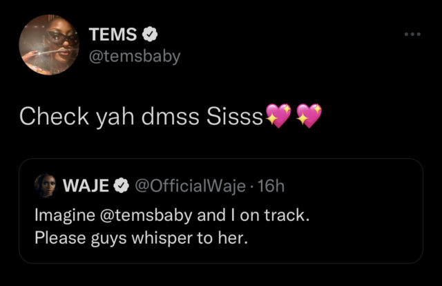 Tems' response to Waje