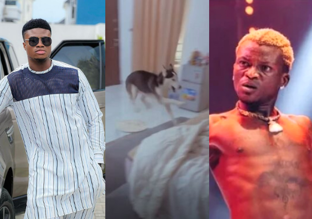 “Are you friends with Portable?” — Skit maker Zicsaloma asks his dog as it goes wild [Video]