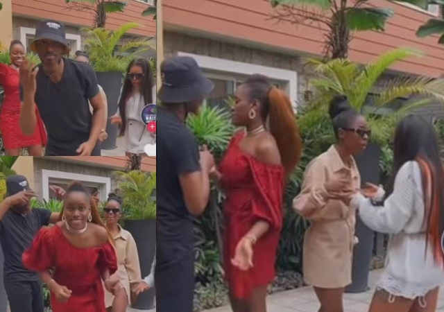 Fans gush as Adekunle, Bella, Chi Chi, Daniella show off dance moves [Video]