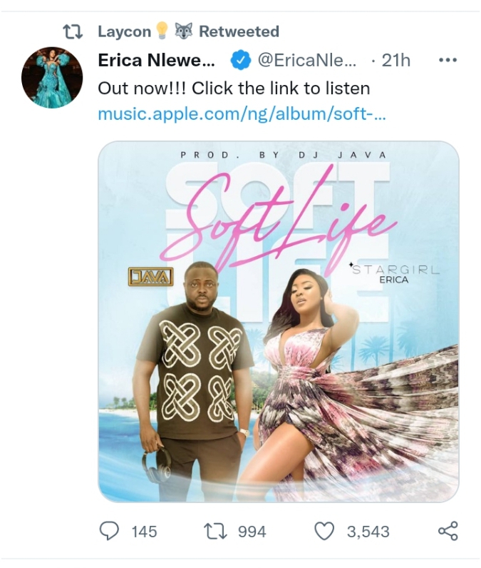 BBNaija’s Erica thanks Laycon for supporting her music career as she releases debut single