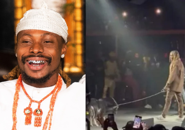 “This means he is the GOAT” –Reactions as Asake drags ‘stubborn’ goat on stage during his performance in Atlanta [Video]